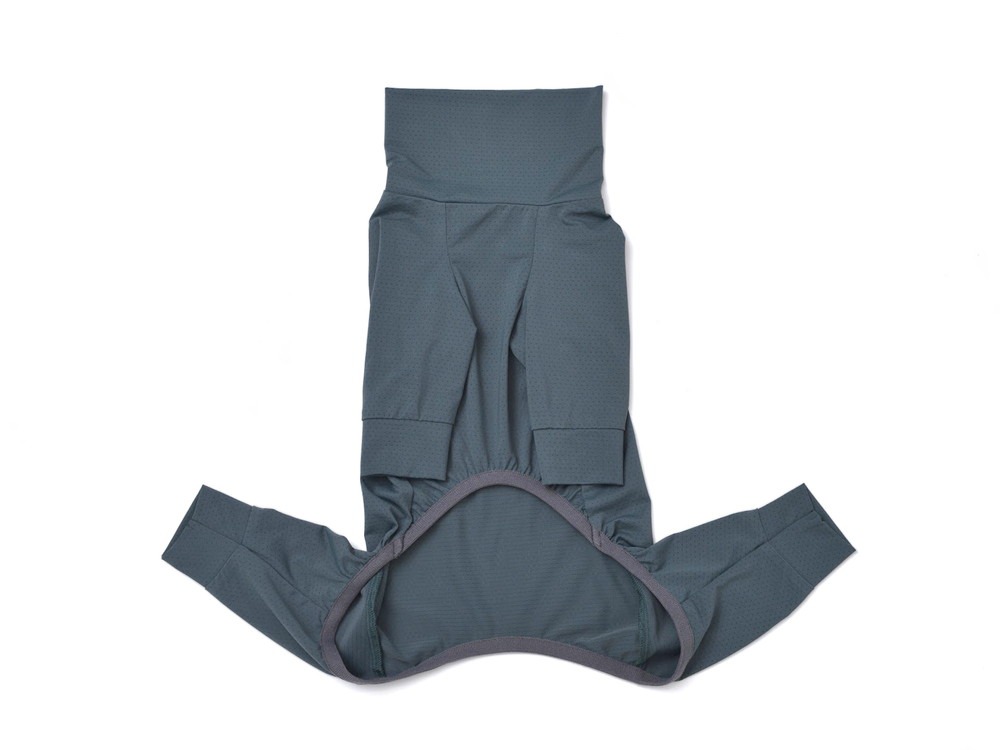Dog Stretch Guard S BLUE