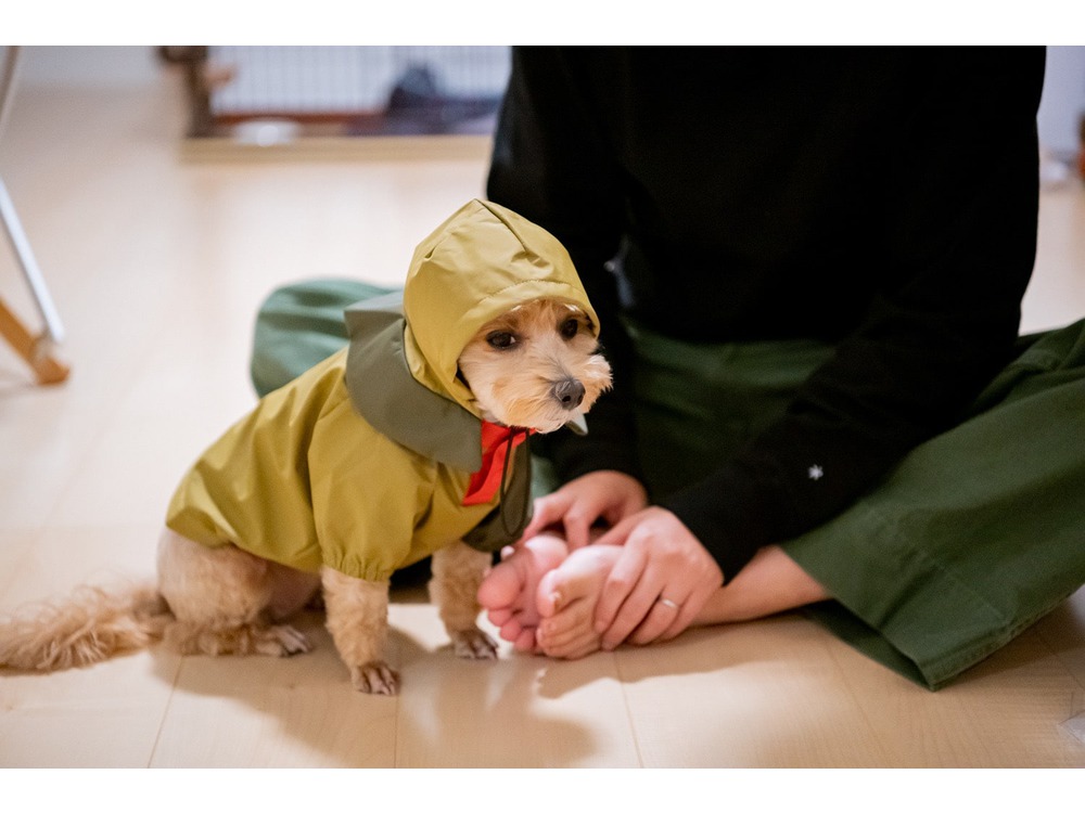 春夏新作 専用 スノーピーク 犬レインコート 2l 5l送料無料 その他 Rspg Spectrum Eu