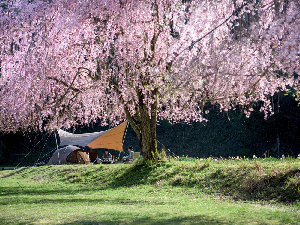 HDタープ“シールド”・ヘキサ（L）