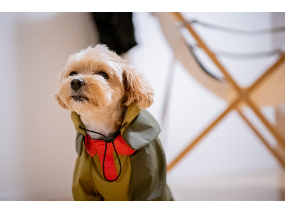 犬用ウェア レインコート スノーピーク Parka Grey Sp Dog ドッグパーカー M