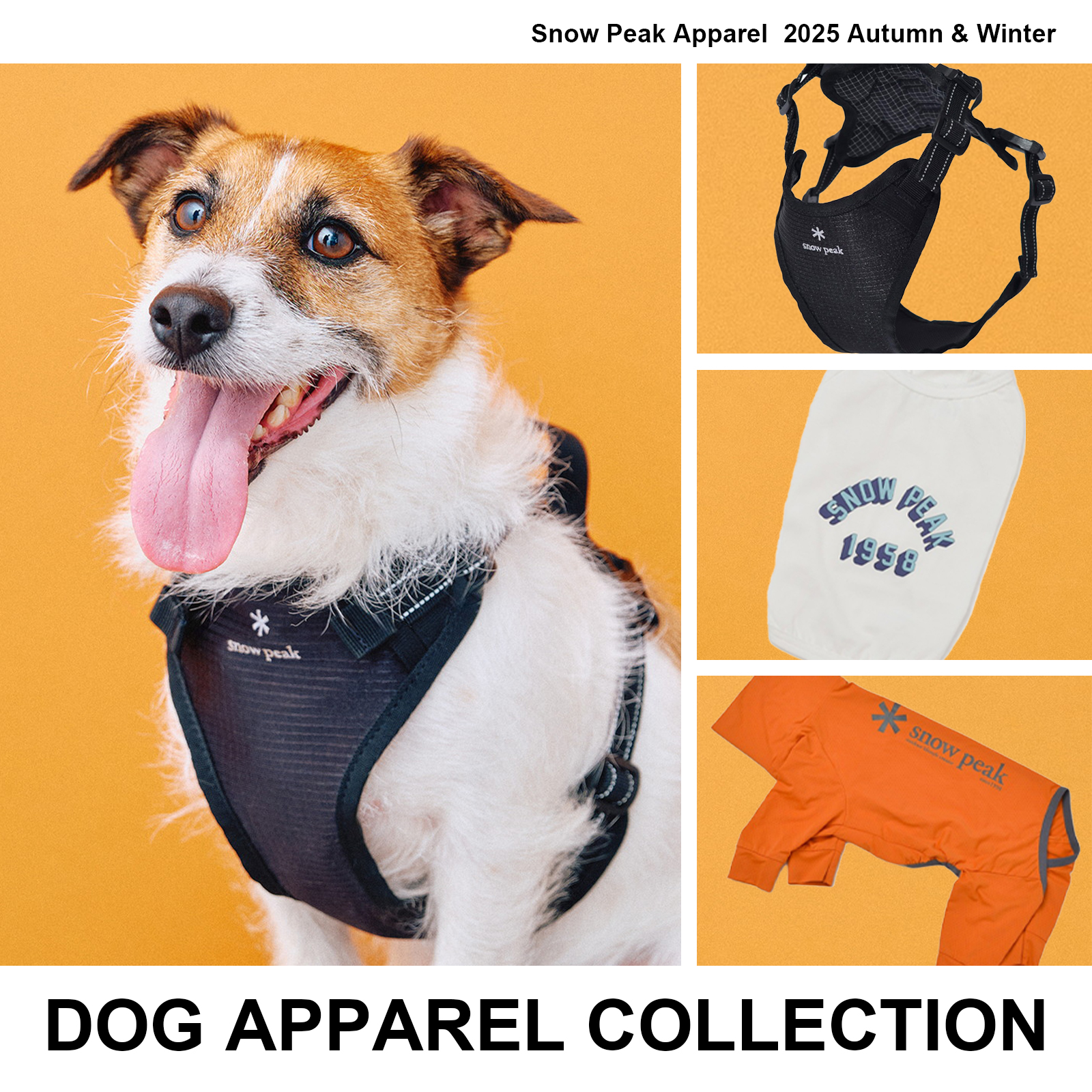 banners_DOG2_1600X1600.jpg